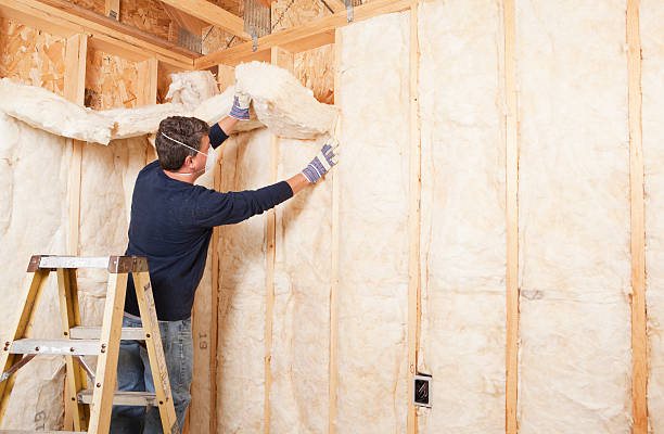 Best Eco-Friendly Insulation Solutions  in Huron, CA